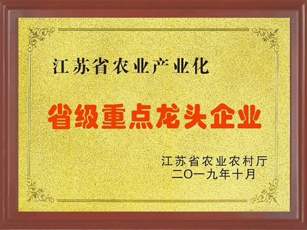 江蘇省農(nóng)業(yè)產(chǎn)業(yè)化省級(jí)重點(diǎn)龍頭企業(yè)-龍偉食品