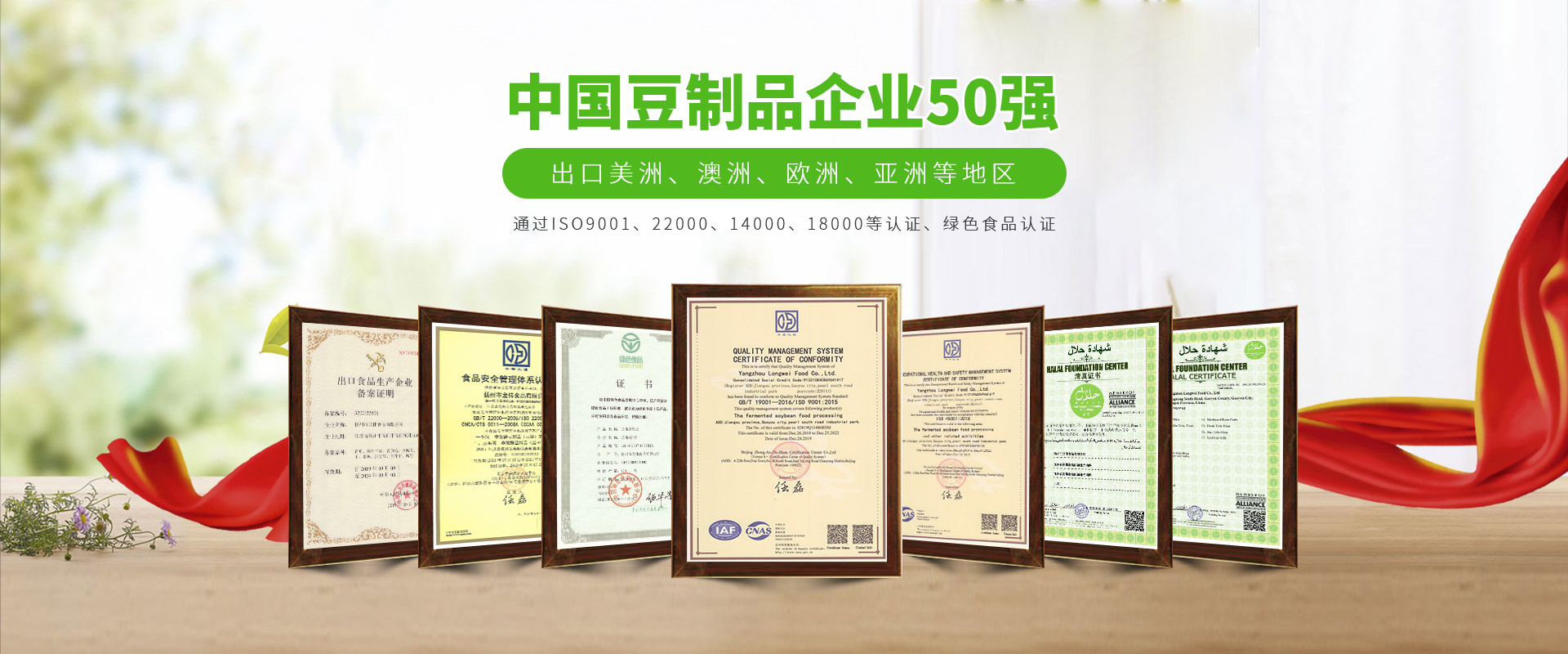 龍偉-中國(guó)豆制品企業(yè)50強(qiáng)
